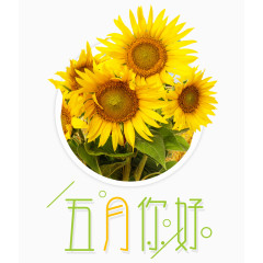 五月夏上新艺术字