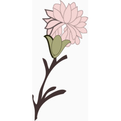植物花卉