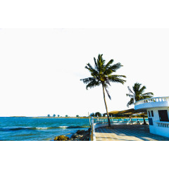 坦桑尼亚自然风景