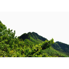 重庆永川茶山竹海风景