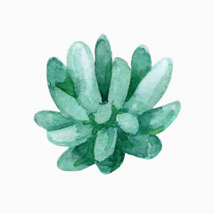 水彩插画小清新植物装饰素材