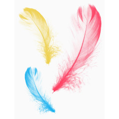 彩色羽毛轻盈水墨