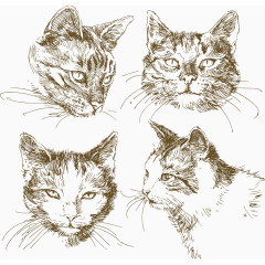手绘猫头矢量素材