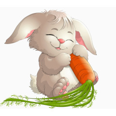 抱胡萝卜的小兔子