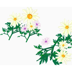 菊花竹叶