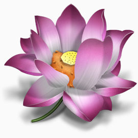 Url历史图标
