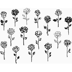 漂浮各式玫瑰花