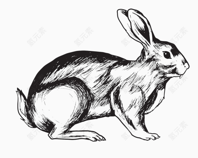 兔子卡通简笔画