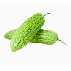 生鲜苦瓜