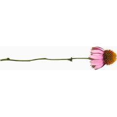 田园风模板田园风素材