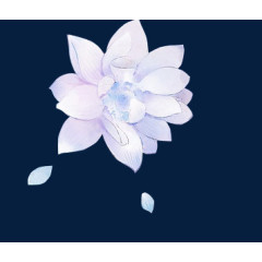 手绘水墨白色花卉