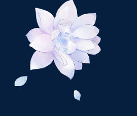 手绘水墨白色花卉