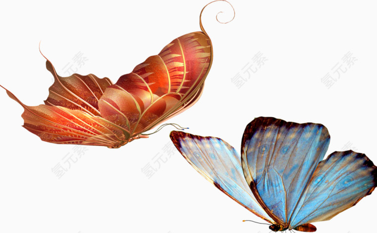 蝴蝶 png素材