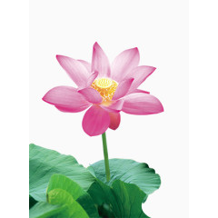 古典中国风素材