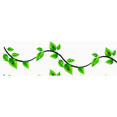 春天藤蔓清新树叶