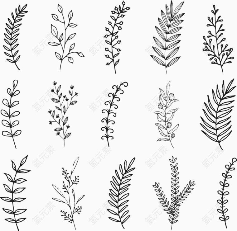 卡通手绘小草水草种类