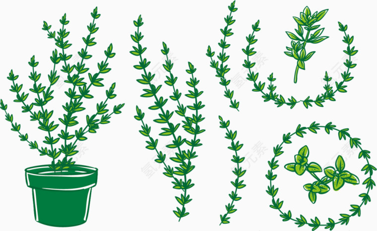 矢量图绿色的水草