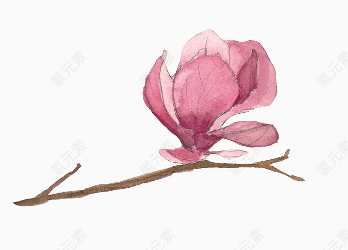 卡通手绘木棉花