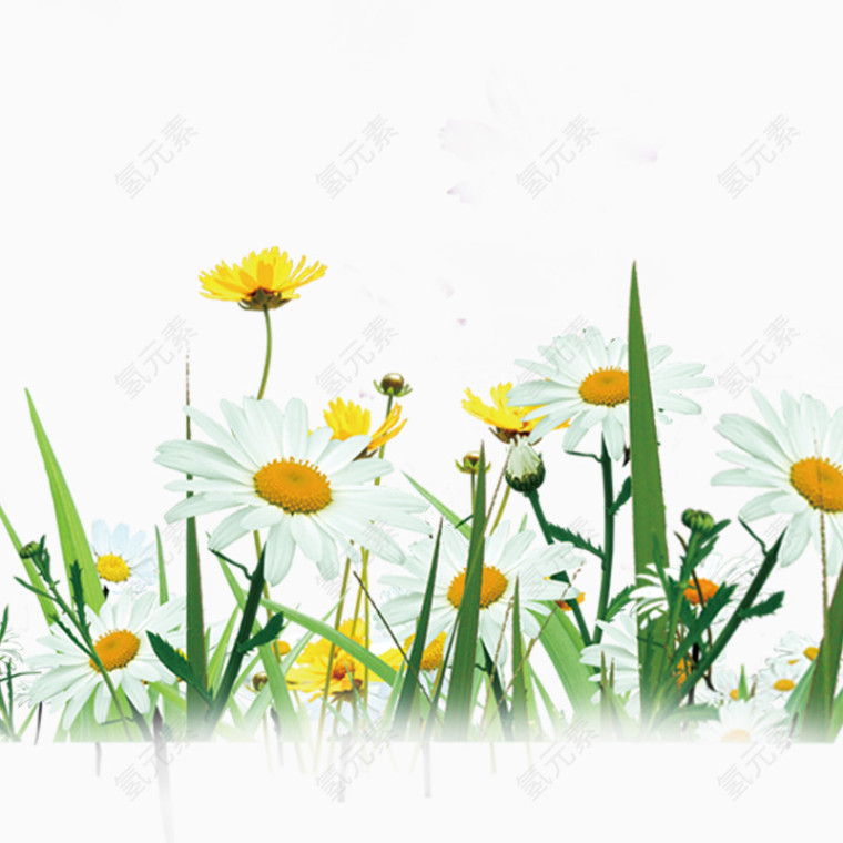 花