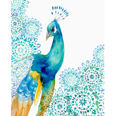 孔雀水彩印花