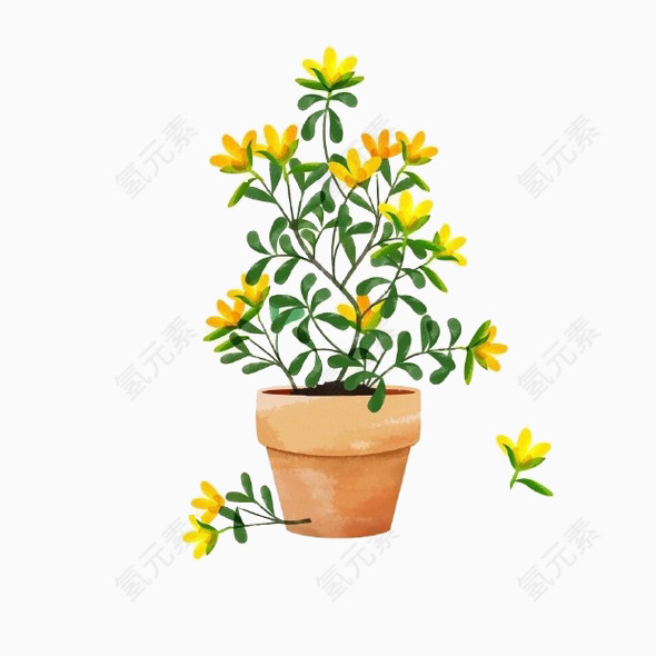 手绘花朵花盆