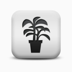 磨砂白广场图标自然奇迹星暴自然奇观