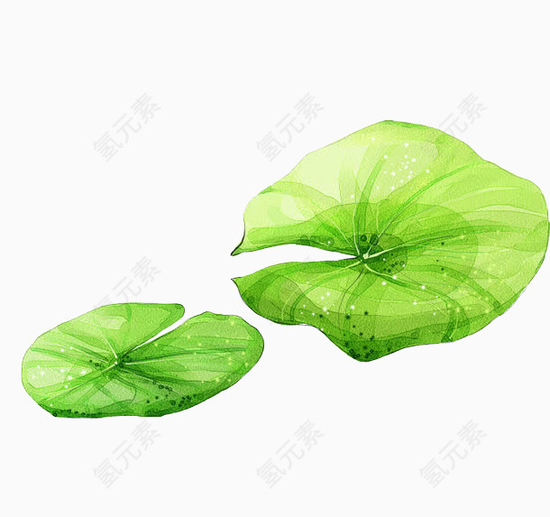 卡通浅绿色荷叶夏天