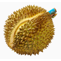 水果榴莲