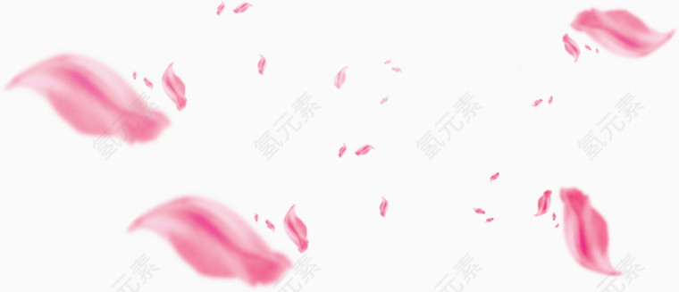 粉色花瓣