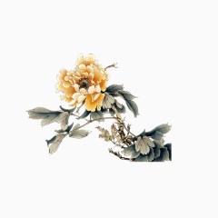 彩绘花图片免抠素材