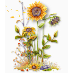 背景素材鲜花图案