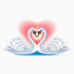 爱心天鹅
