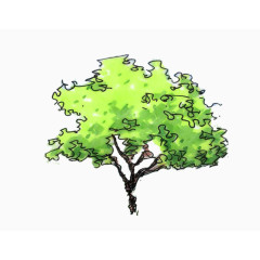 立面手绘景观树