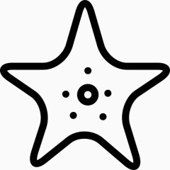 海星图标
