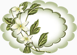 淡雅清新装饰板