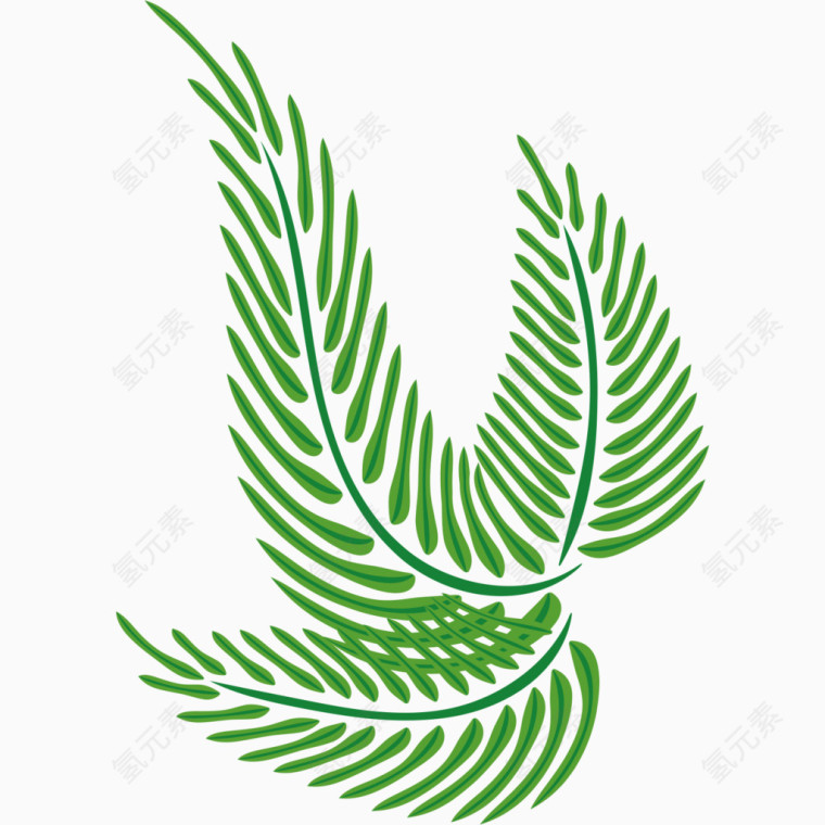 手绘植物绿色装饰树叶