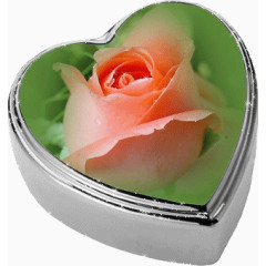 ps花卉素材花草画