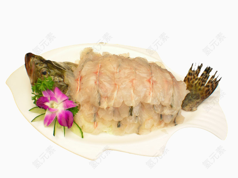 一条桂鱼图片素材