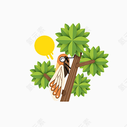 树上的知了