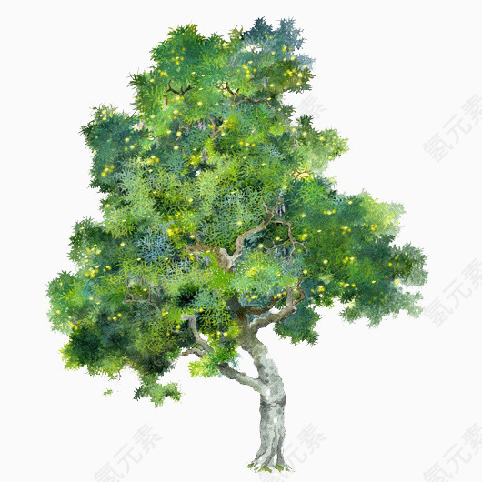 手绘大树
