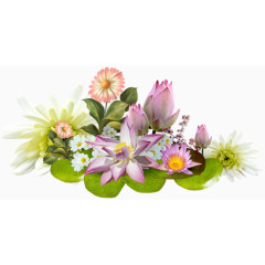 卡通装饰素材庆典花草