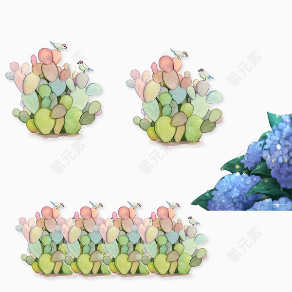 五彩仙人掌卡通仙人掌椭圆仙人掌梦幻紫色花