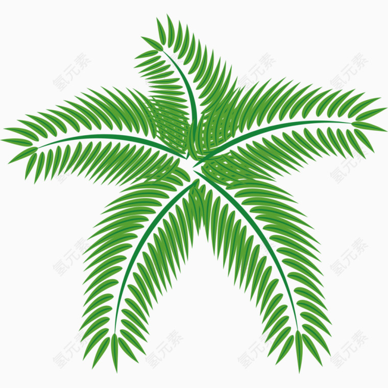 手绘植物树叶组成的五角星