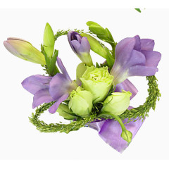 花草矢量素材卡通装饰素材