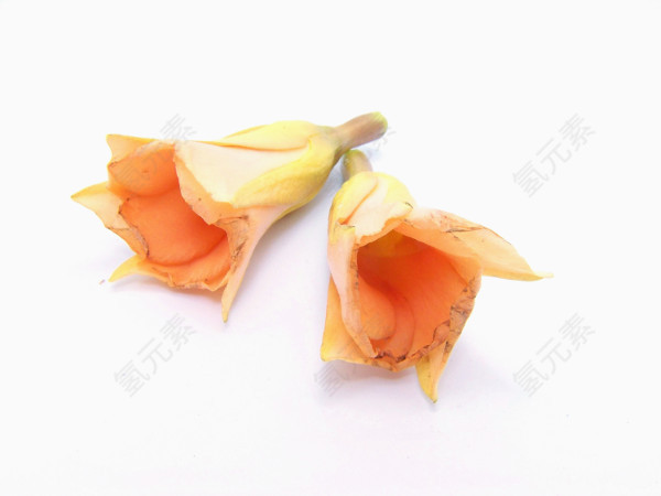 唯美花朵图片