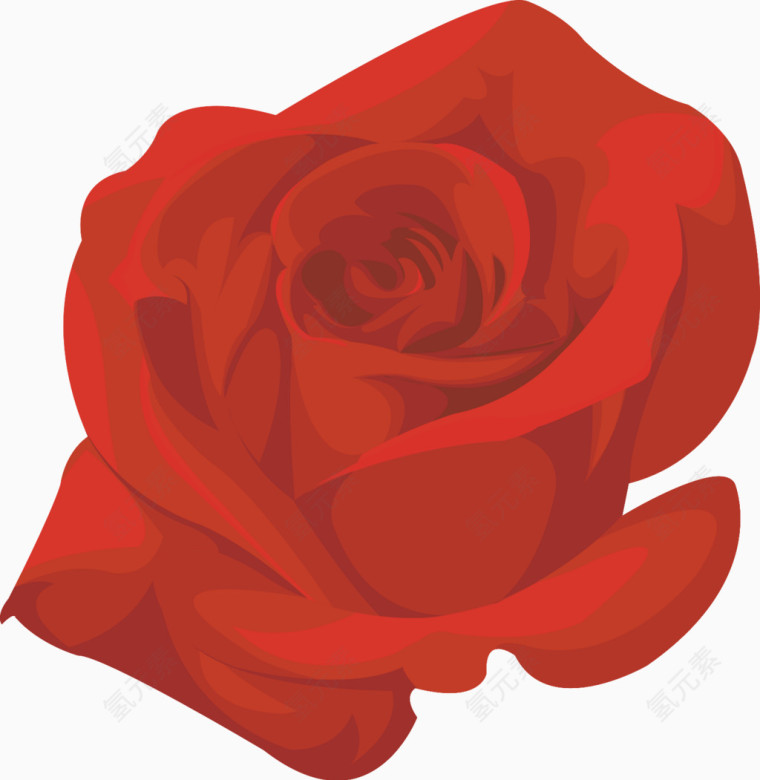 红色玫瑰花朵素材