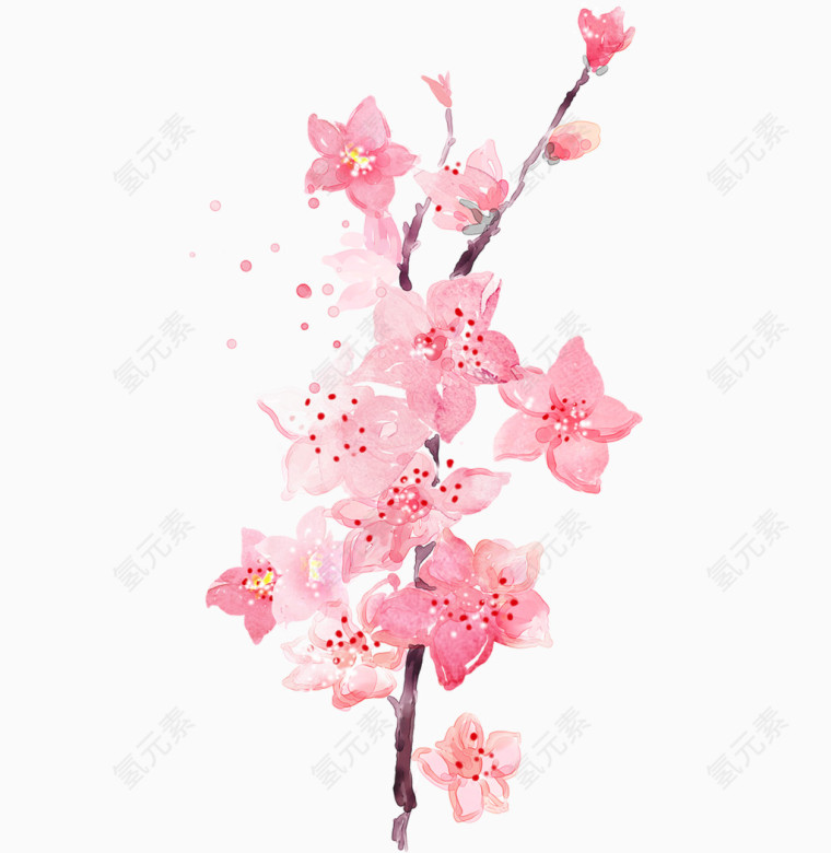 水彩桃花