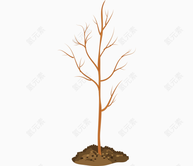 树苗植树节