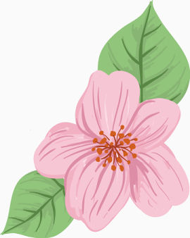 粉色鲜花