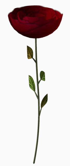 水彩花卉素材花草图案